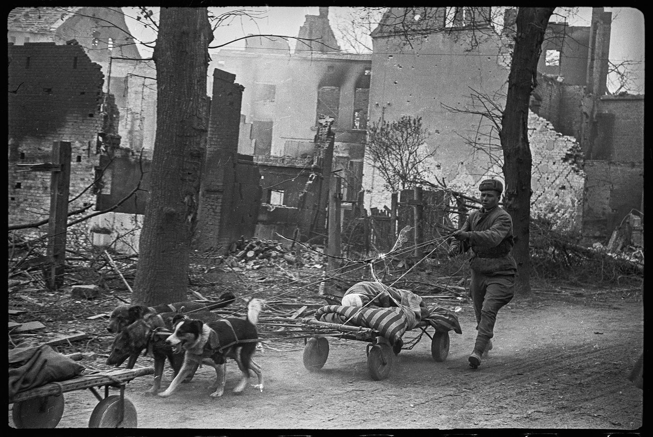 Wounded solders AB 01