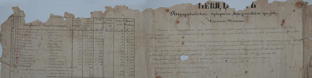 Pomiary we wsi Niewiadówek w 1876 r.